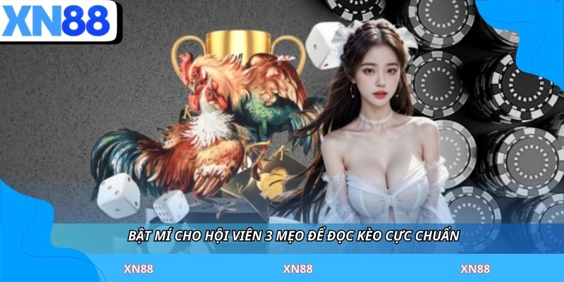 Bật mí cho hội viên 3 mẹo để đọc kèo cực chuẩn