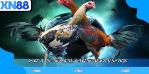 Đá Gà Uy Tín - Những Tiêu Chí Đánh Giá Một Sảnh Cược