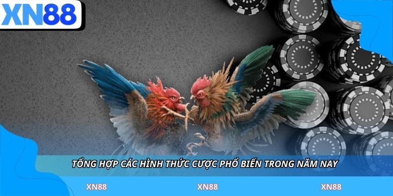 Tổng hợp các hình thức cược phổ biến trong năm nay